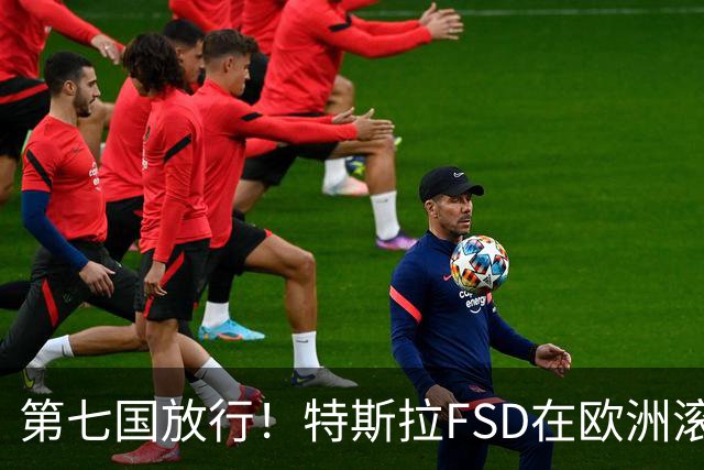 第七国放行！特斯拉FSD在欧洲滚起雪球，捷克车主等来v14